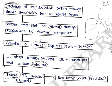 Screenshot 2026-03-12 174912