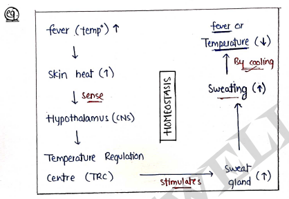 Screenshot 2026-03-10 152818