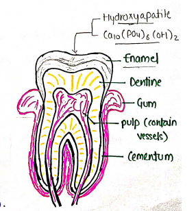 Screenshot 2026-02-17 205026