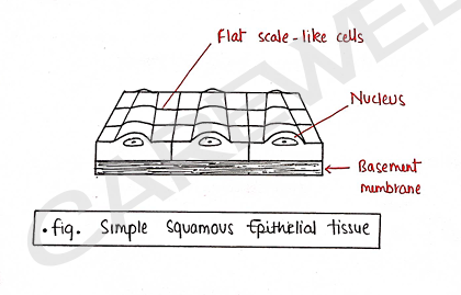 Screenshot 2026-02-09 214622.png