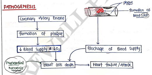 Screenshot 2026-03-11 163341