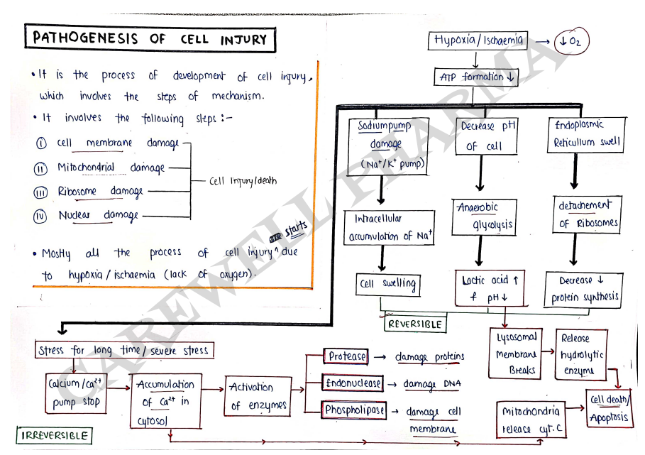 Screenshot 2026-03-10 152926