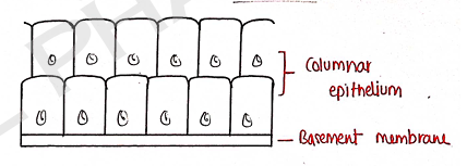 Screenshot 2026-02-09 214724.png