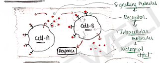 Screenshot 2026-02-07 170954