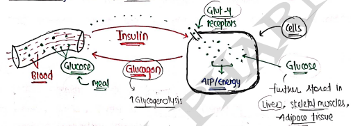 Screenshot 2026-03-12 124455