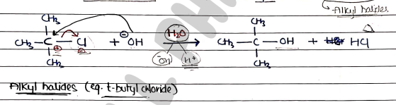 Screenshot 2026-03-13 125938