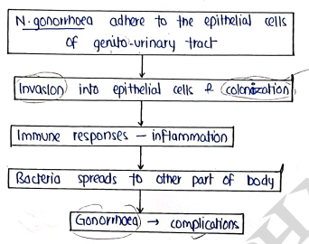 Screenshot 2026-03-12 175133