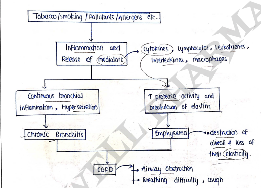Screenshot 2026-03-11 164237