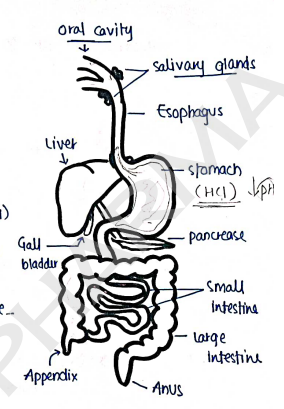 Screenshot 2026-02-18 111246