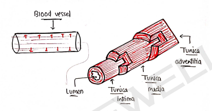 Screenshot 2026-02-11 212553