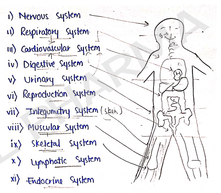 Screenshot 2026-02-07 161156