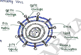 Screenshot 2026-03-12 174810