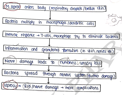 Screenshot 2026-03-12 175103