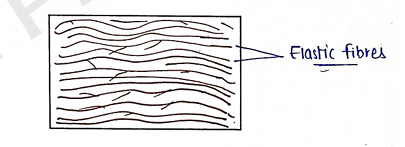 Screenshot 2026-02-09 214836.png