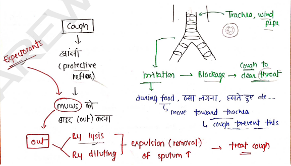 Screenshot 2026-02-22 195802