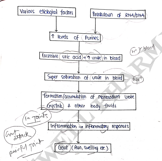 Screenshot 2026-03-12 144851