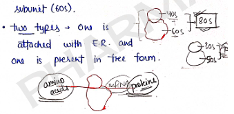 Screenshot 2026-02-07 170255