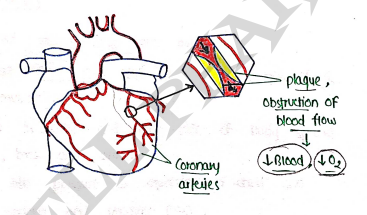 Screenshot 2026-03-11 163139