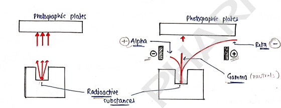 Screenshot 2026-02-23 184712