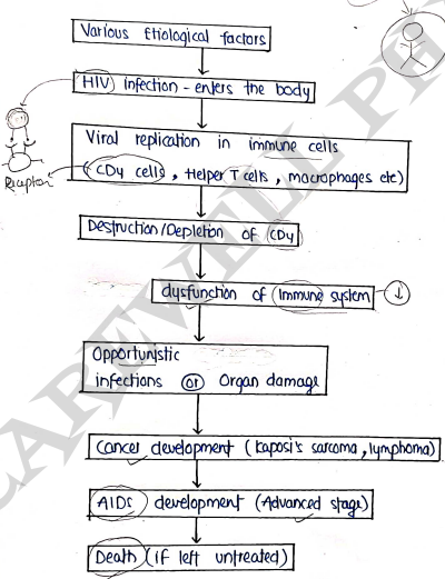 Screenshot 2026-03-12 174827