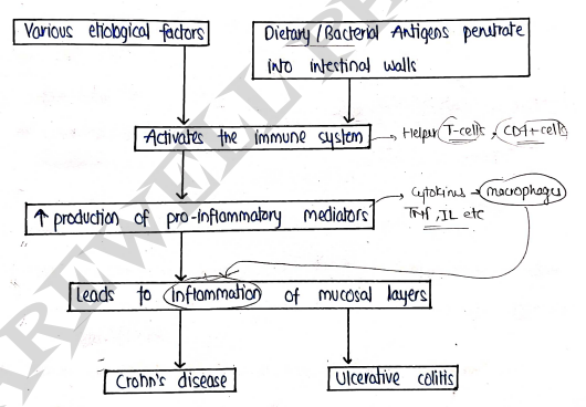 Screenshot 2026-03-12 144647