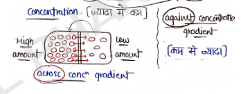 Screenshot 2026-02-07 170429