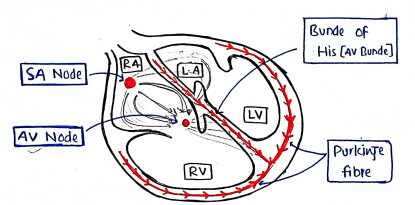 Screenshot 2026-02-11 212513