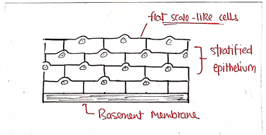 Screenshot 2026-02-09 214707.png