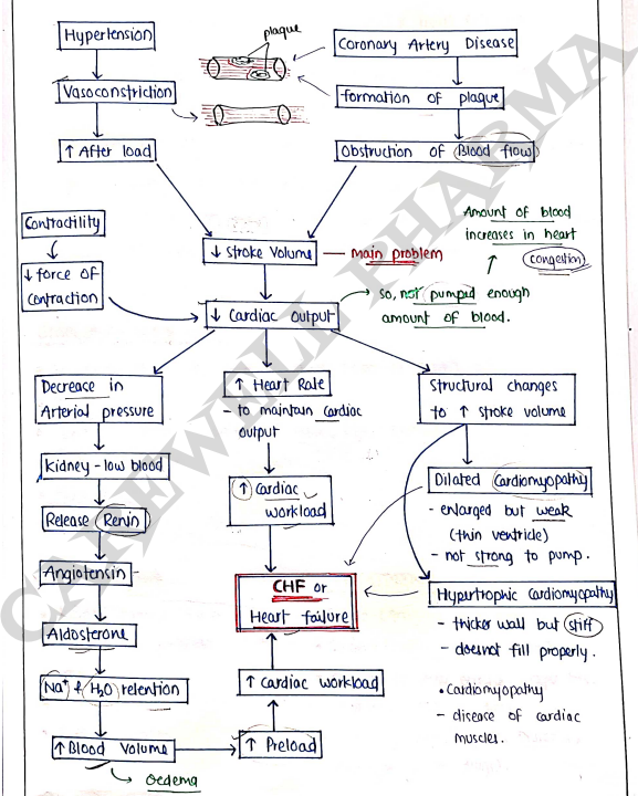 Screenshot 2026-03-11 163125