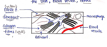 Screenshot 2026-02-09 214758.png