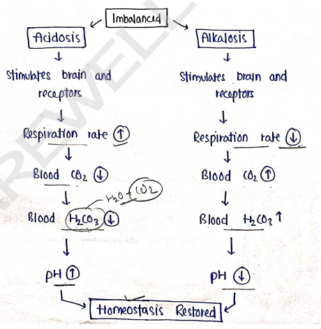 Screenshot 2026-02-17 192018