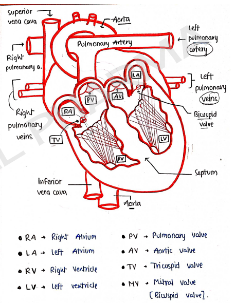 Screenshot 2026-02-11 214158