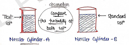 Screenshot 2026-02-17 135944