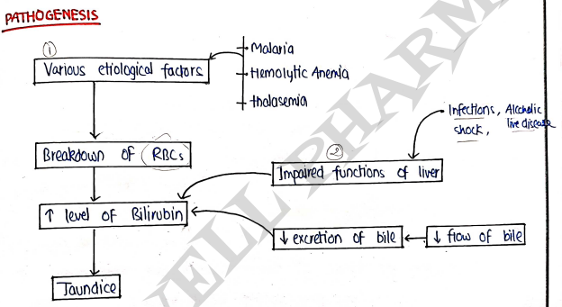 Screenshot 2026-03-12 144713