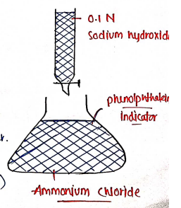 Screenshot 2026-02-18 111342