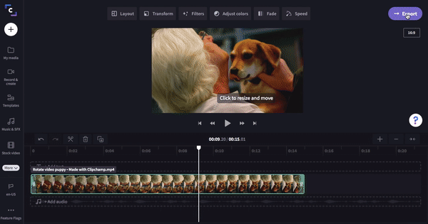 Save and Export video