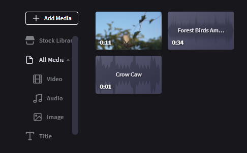 Ready to add audio to a video
