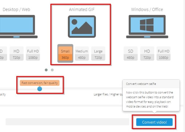 create a gif from a webcam video