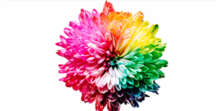 Tutorial - Guide to Colors