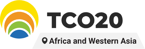 TCO20 - Africa - about image
