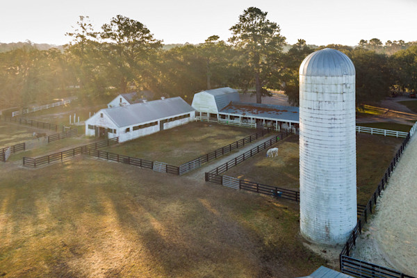 Equine-Silo-Drone