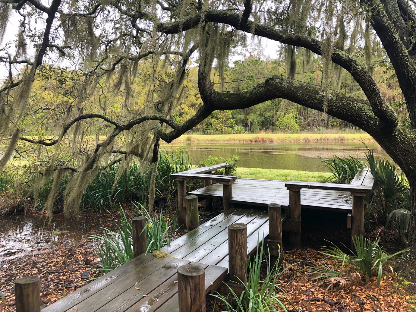 E benches