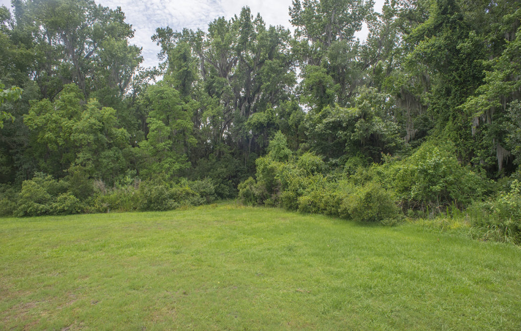 DSC 5894-1050x668