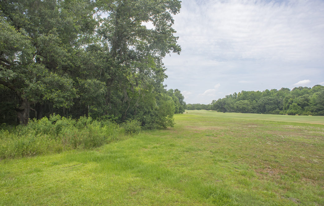 DSC 5891-1050x668