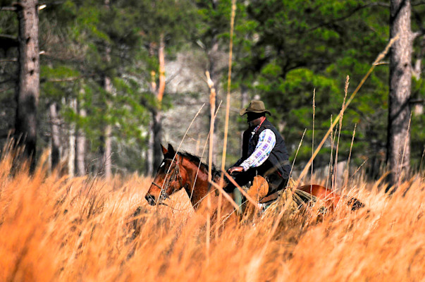 equestrian 2