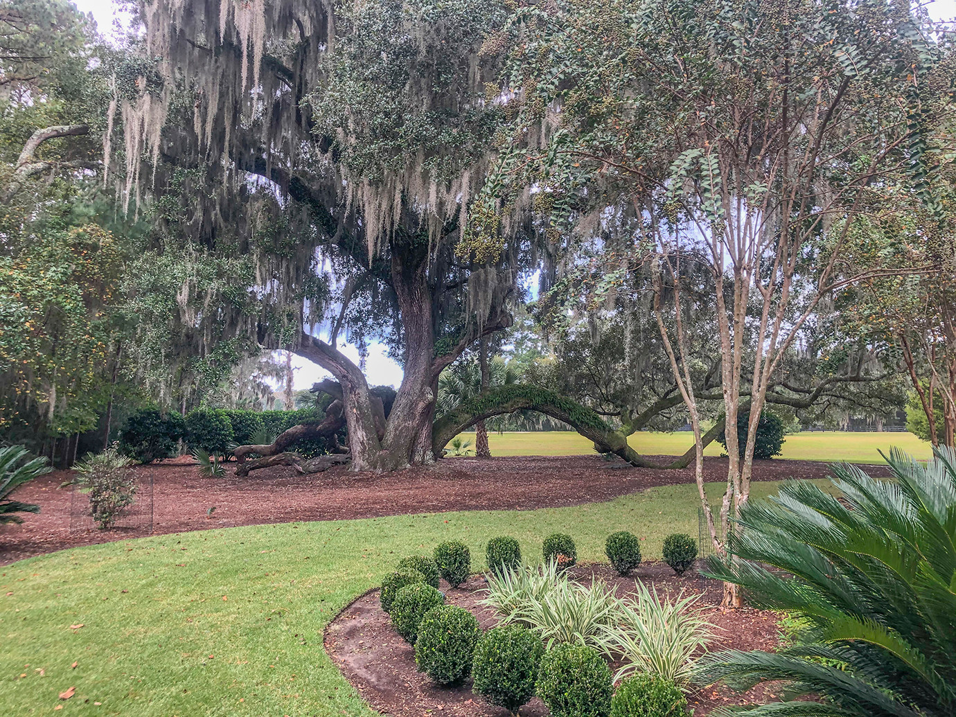 front_yard