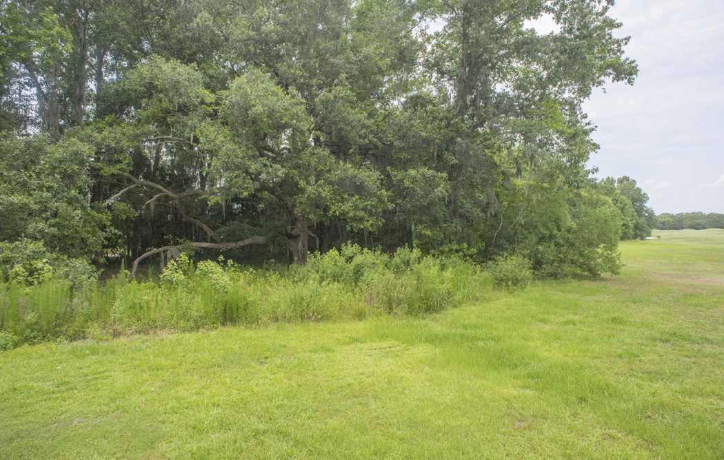 DSC 5890-1050x668