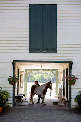 equestrian 3