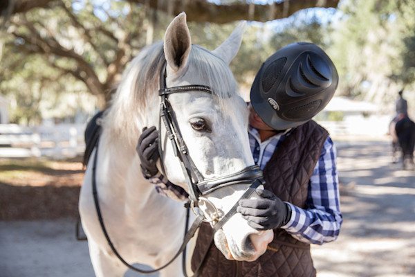 equestrian 1