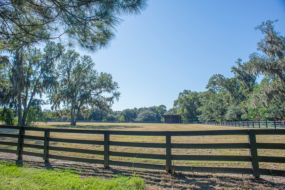 103 Brays Island Drive - Paddock View